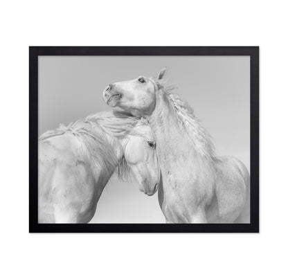 Gentle Horse Bond