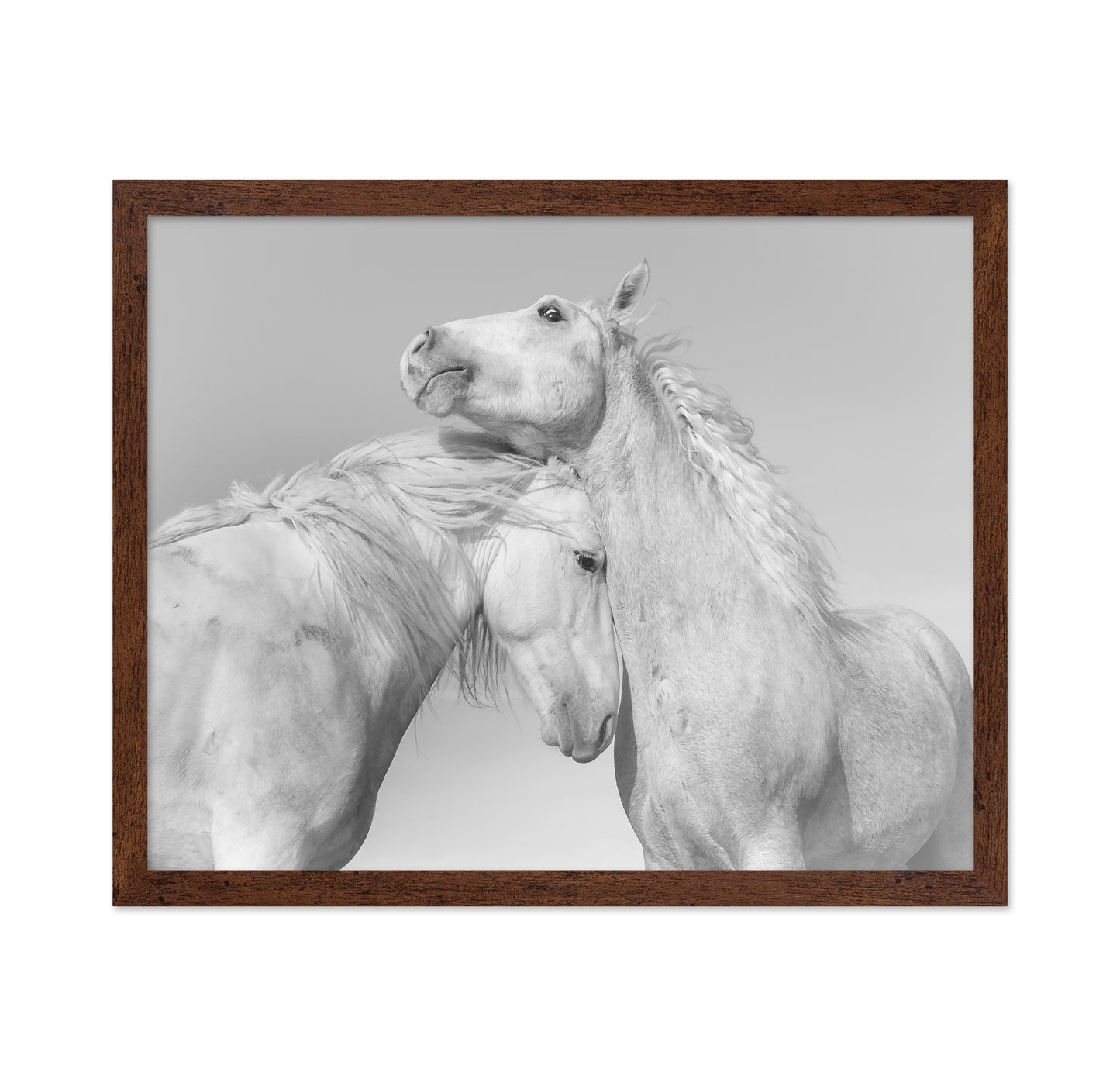 Gentle Horse Bond
