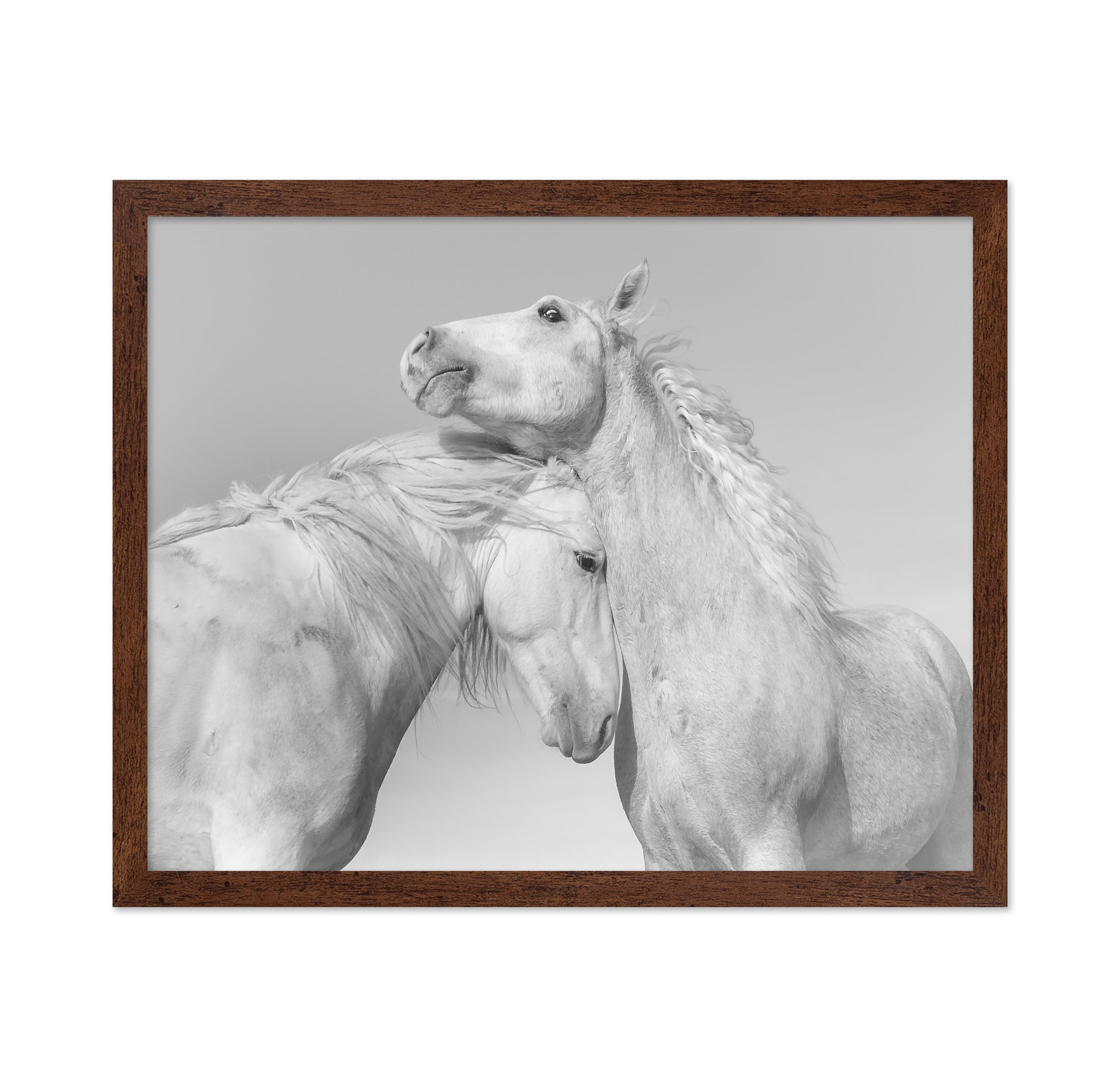 Gentle Horse Bond
