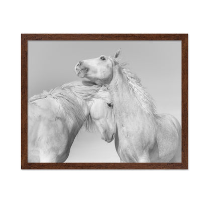 Gentle Horse Bond
