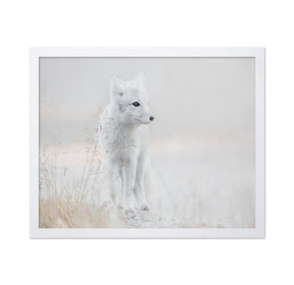 Arctic Fox Watch