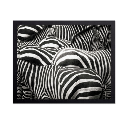 Zebra Pattern Herd