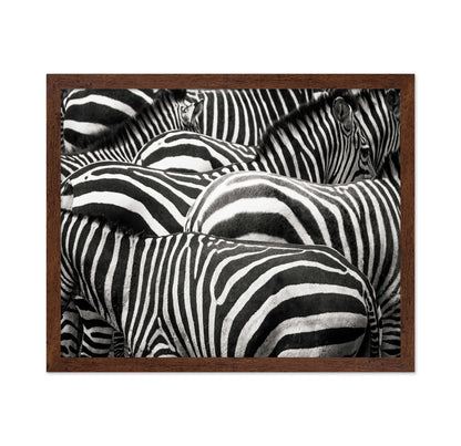 Zebra Pattern Herd
