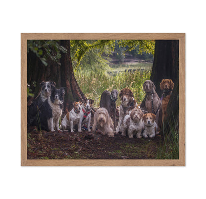 Dog Pack Portrait