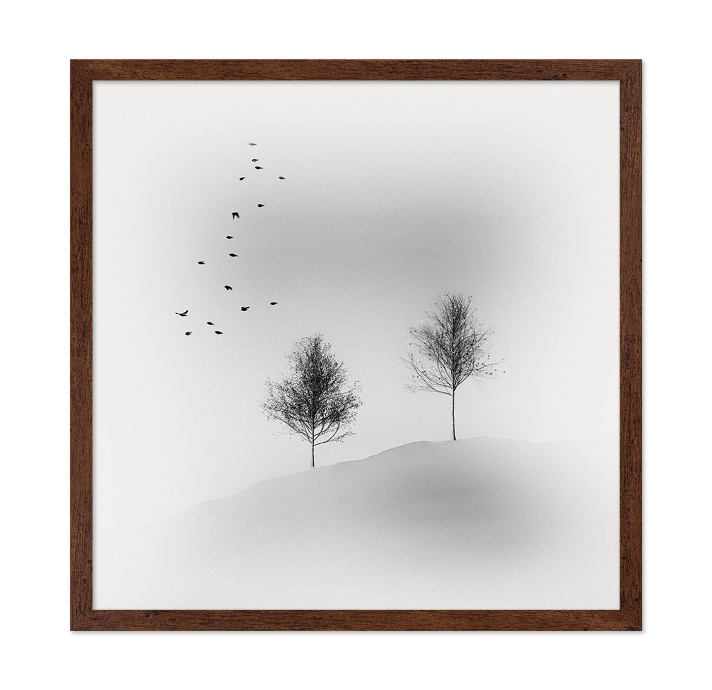 Quiet Winter Trees