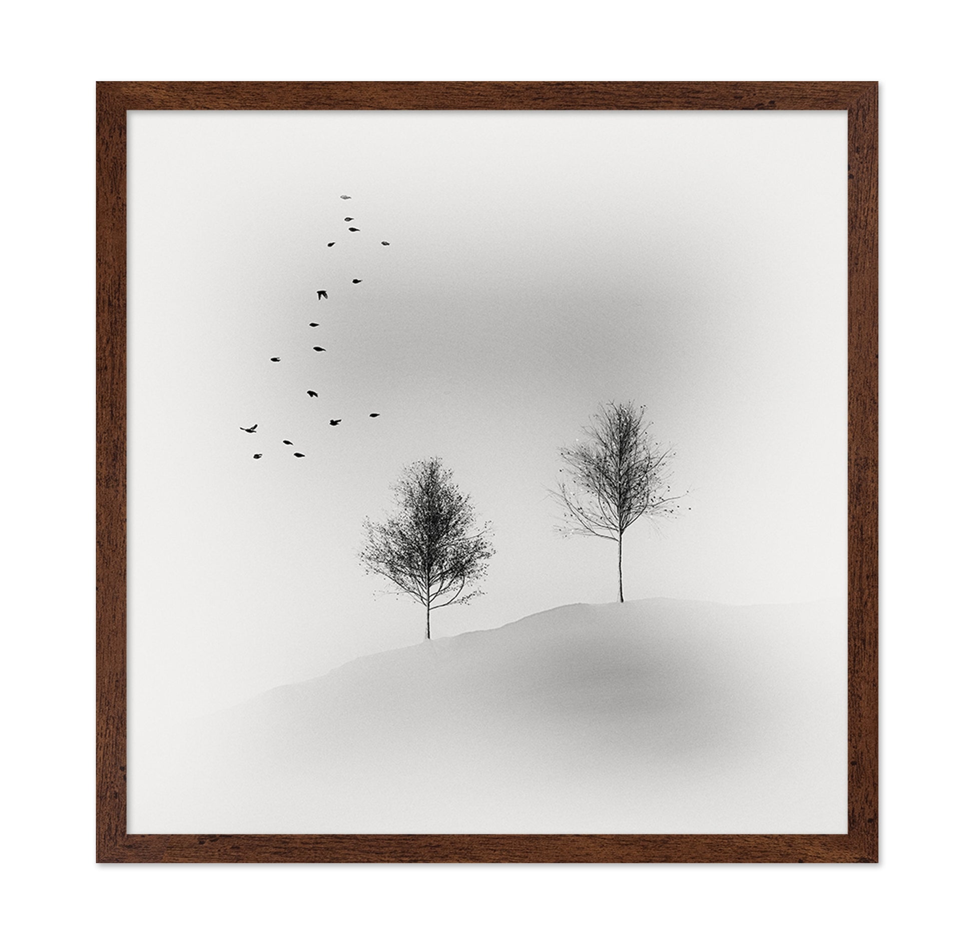 Quiet Winter Trees