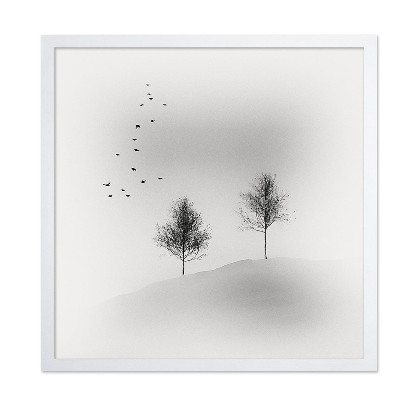 Quiet Winter Trees