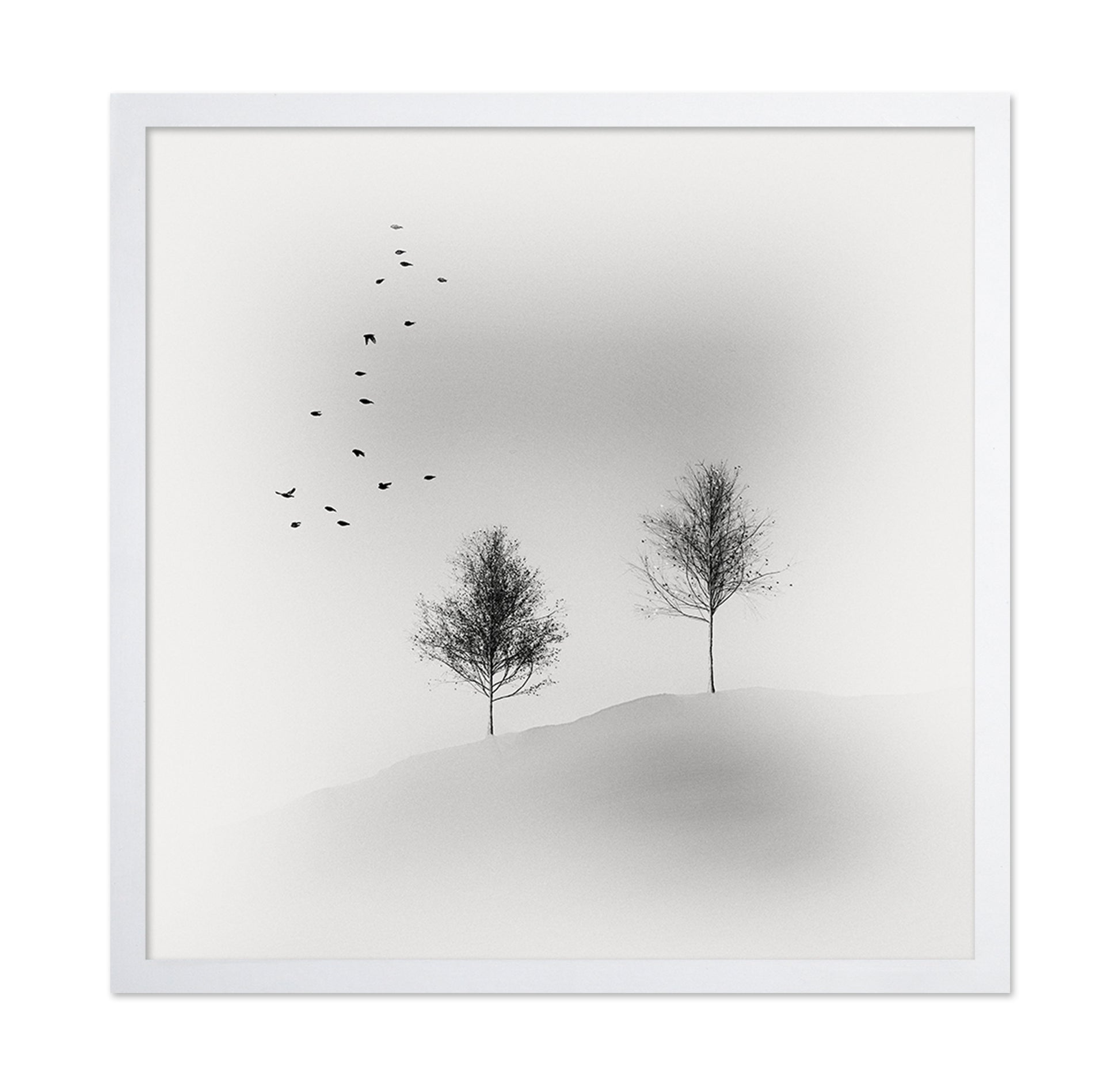 Quiet Winter Trees