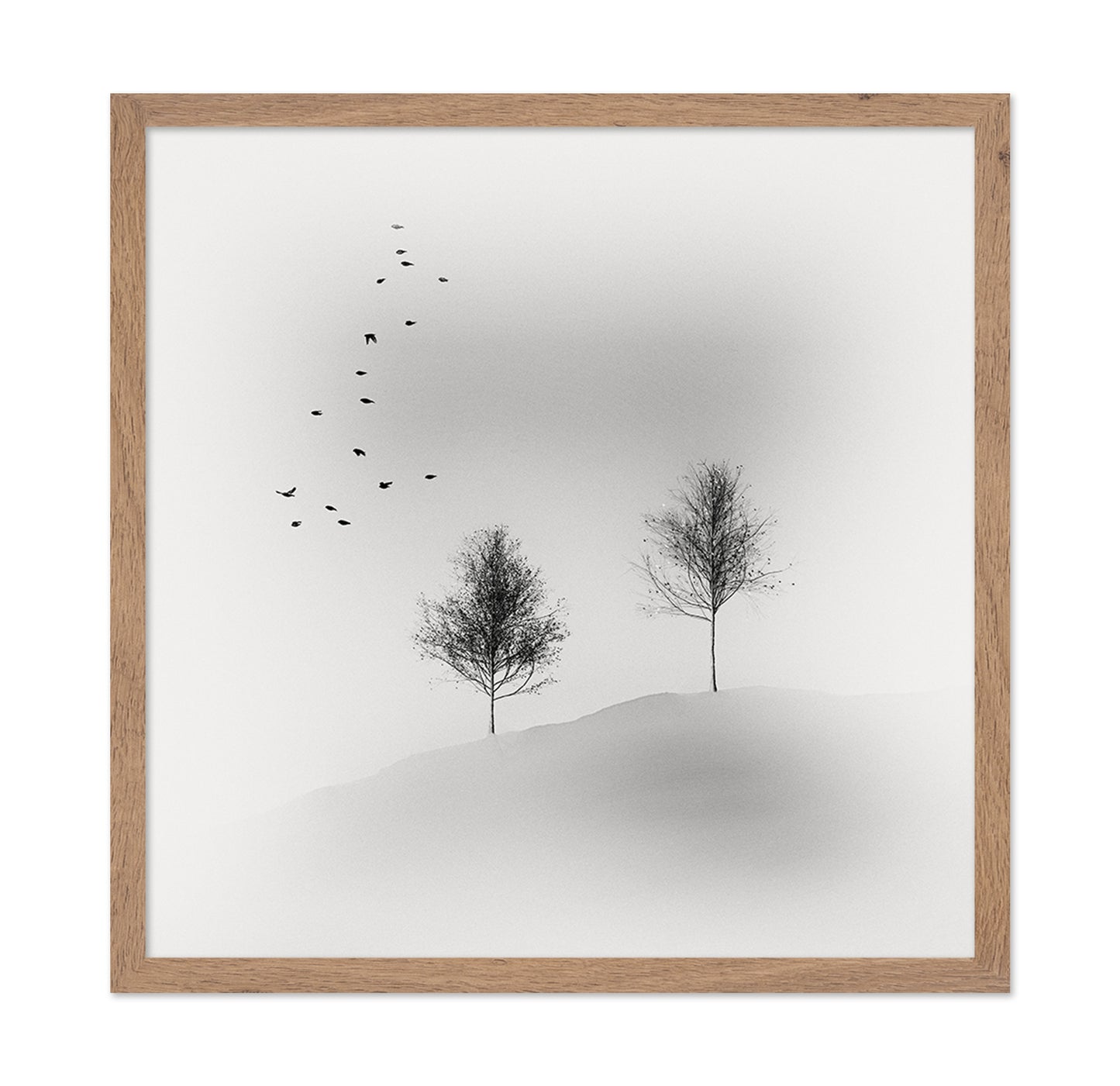 Quiet Winter Trees