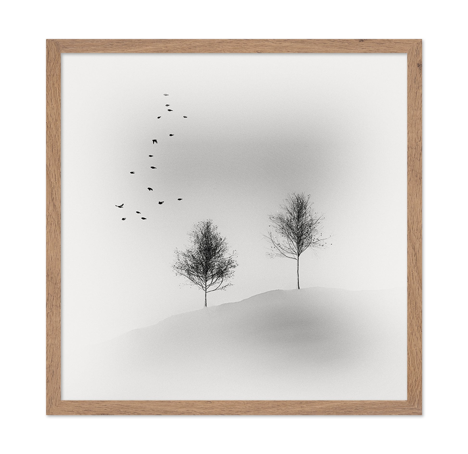 Quiet Winter Trees