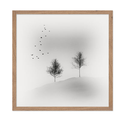 Quiet Winter Trees