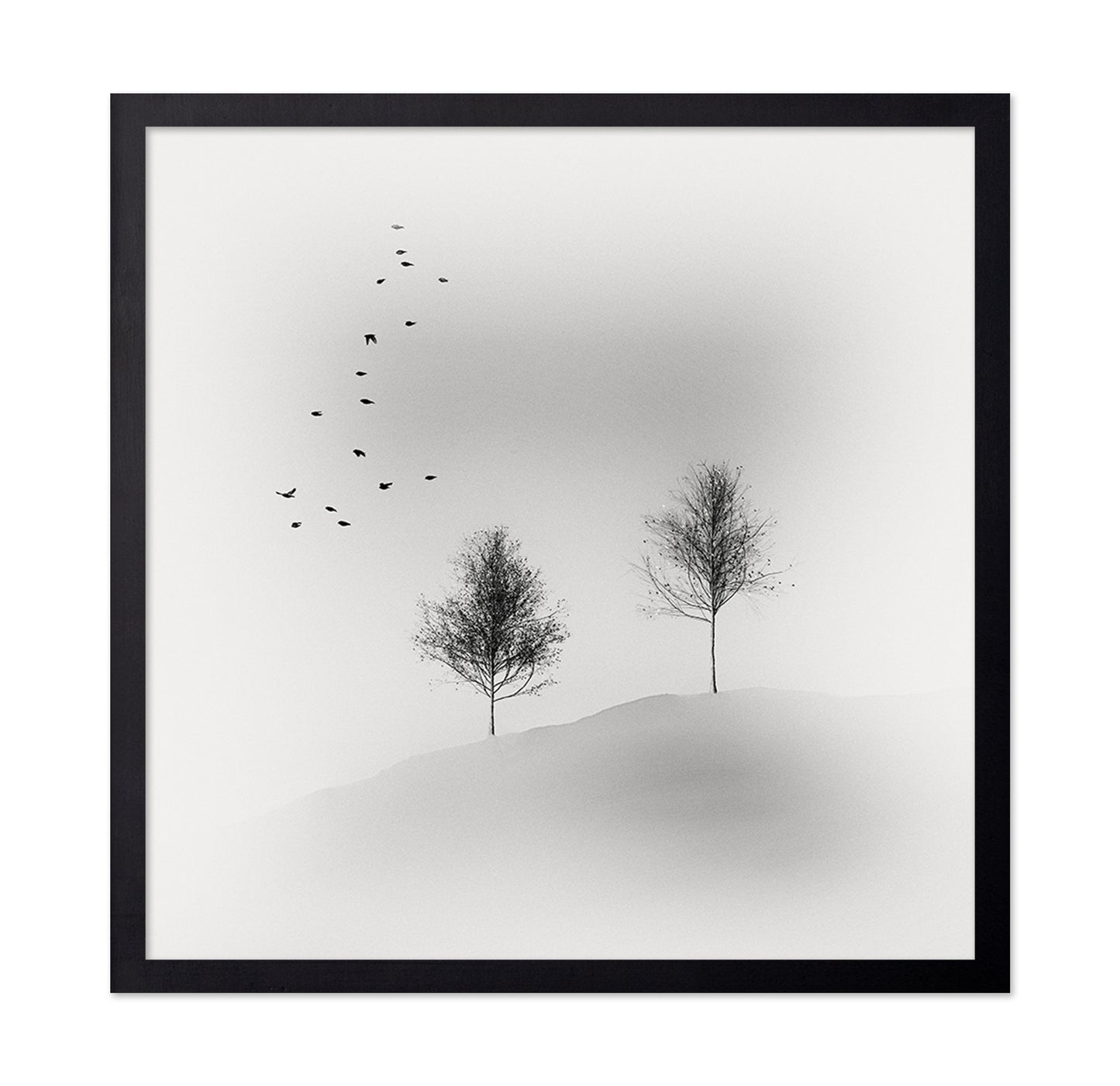 Quiet Winter Trees