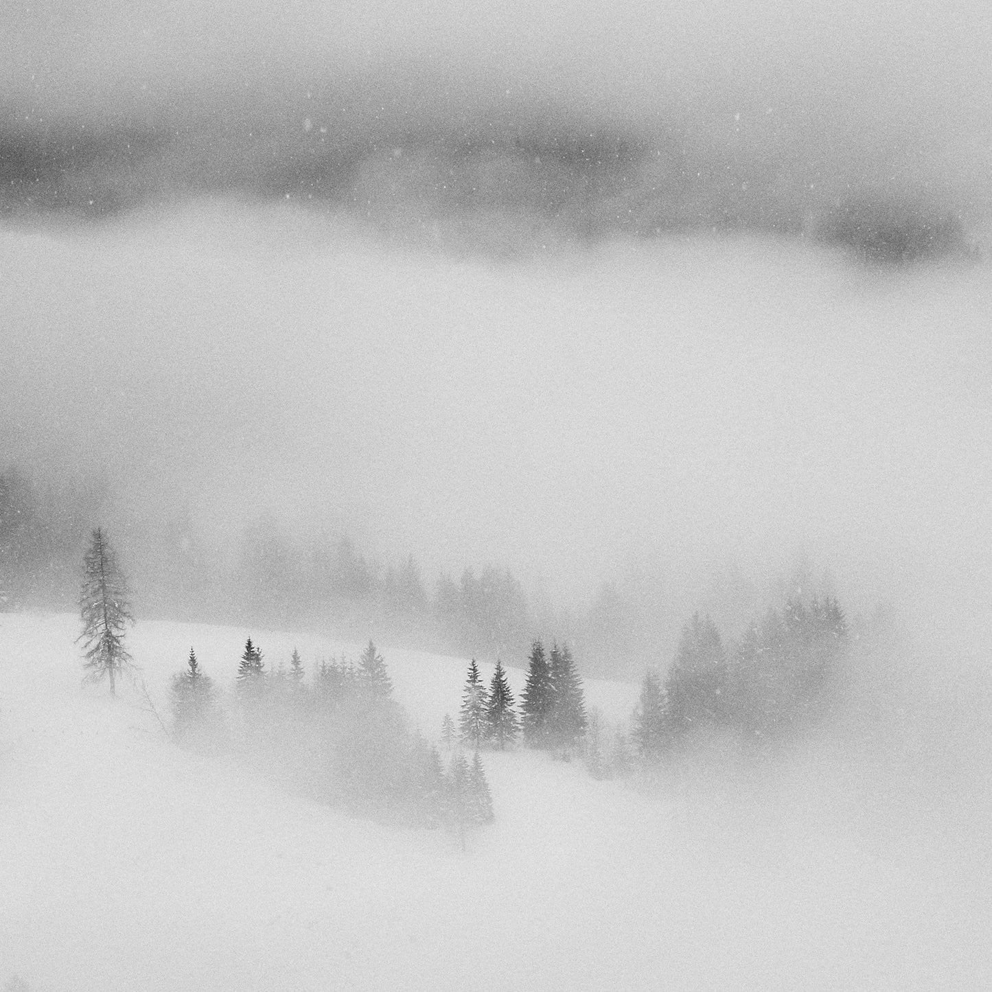 Snowfall Stillness
