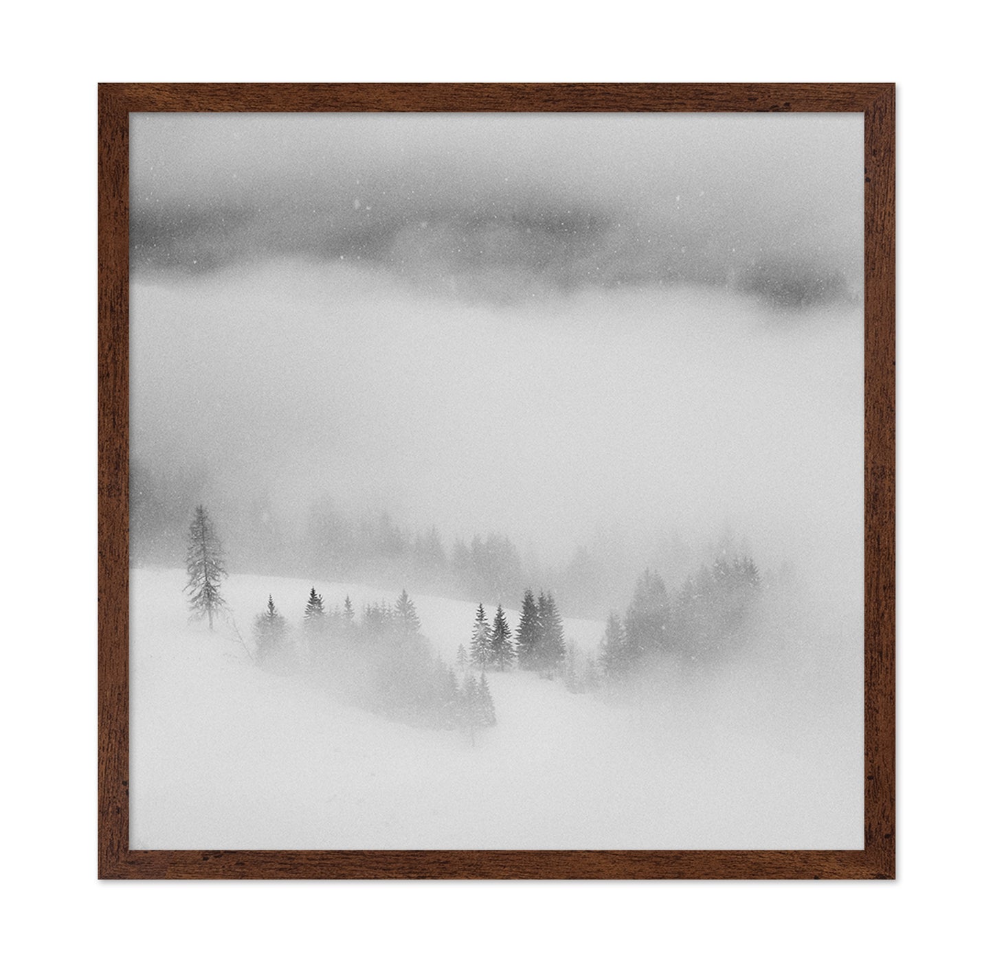 Snowfall Stillness