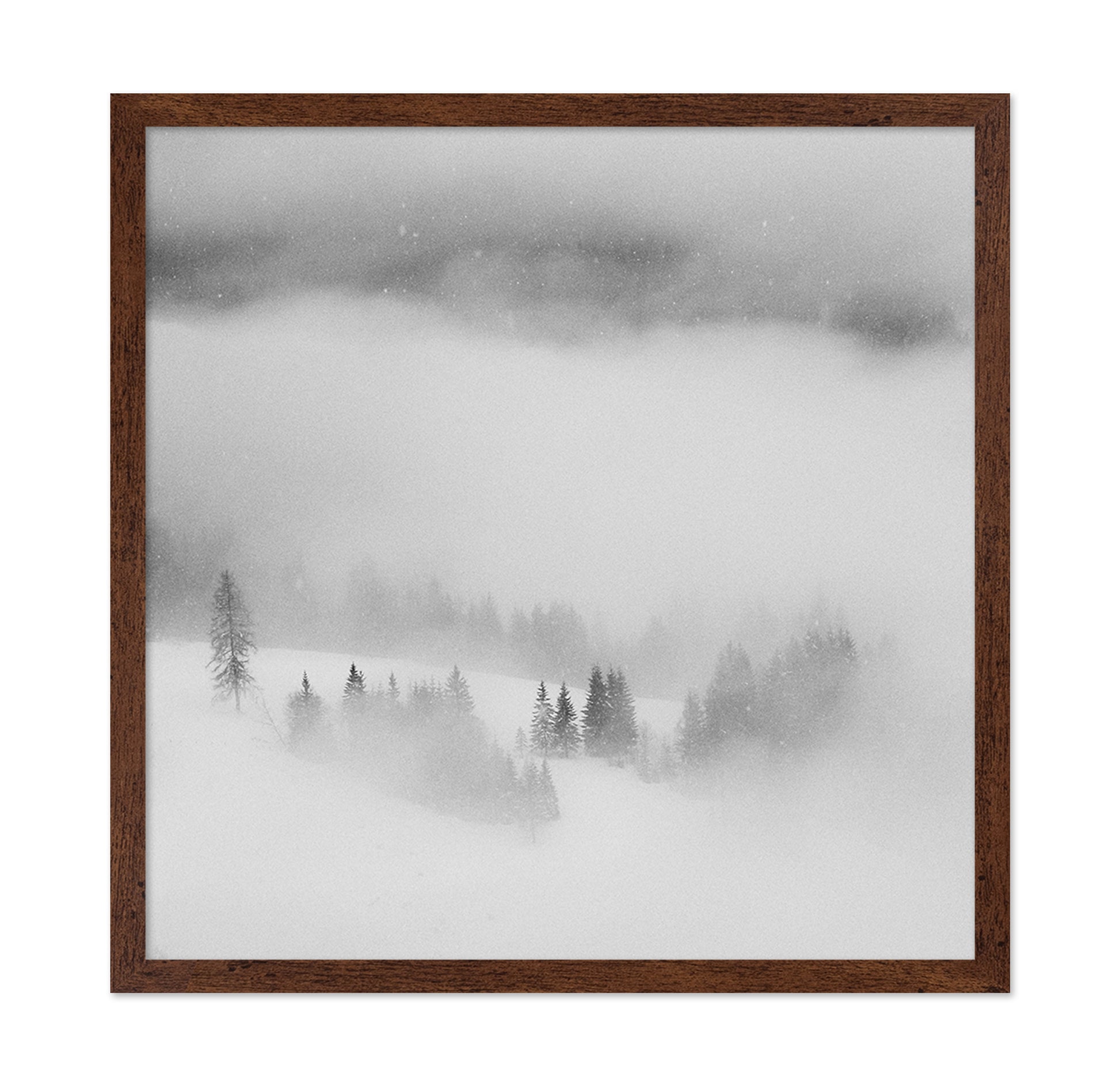 Snowfall Stillness