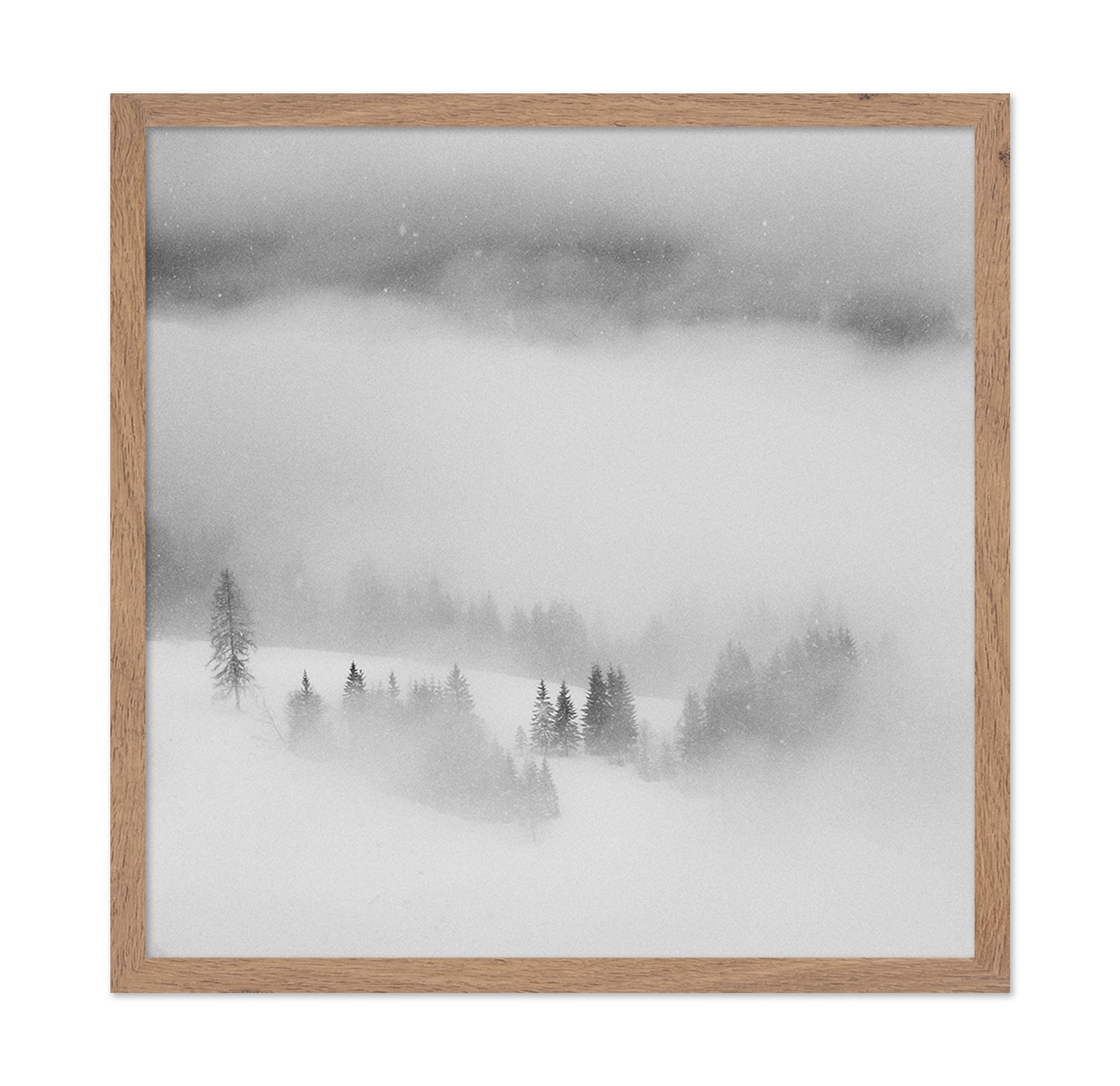Snowfall Stillness