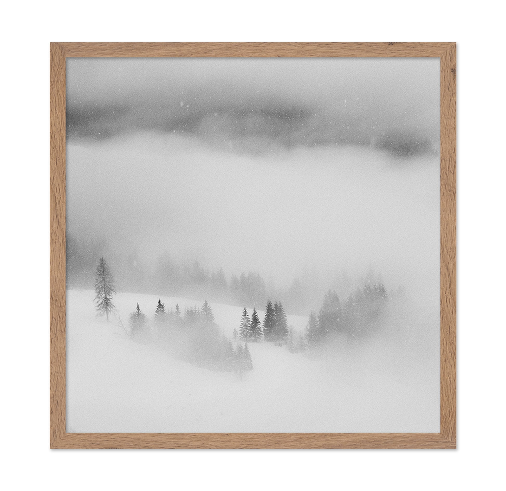 Snowfall Stillness