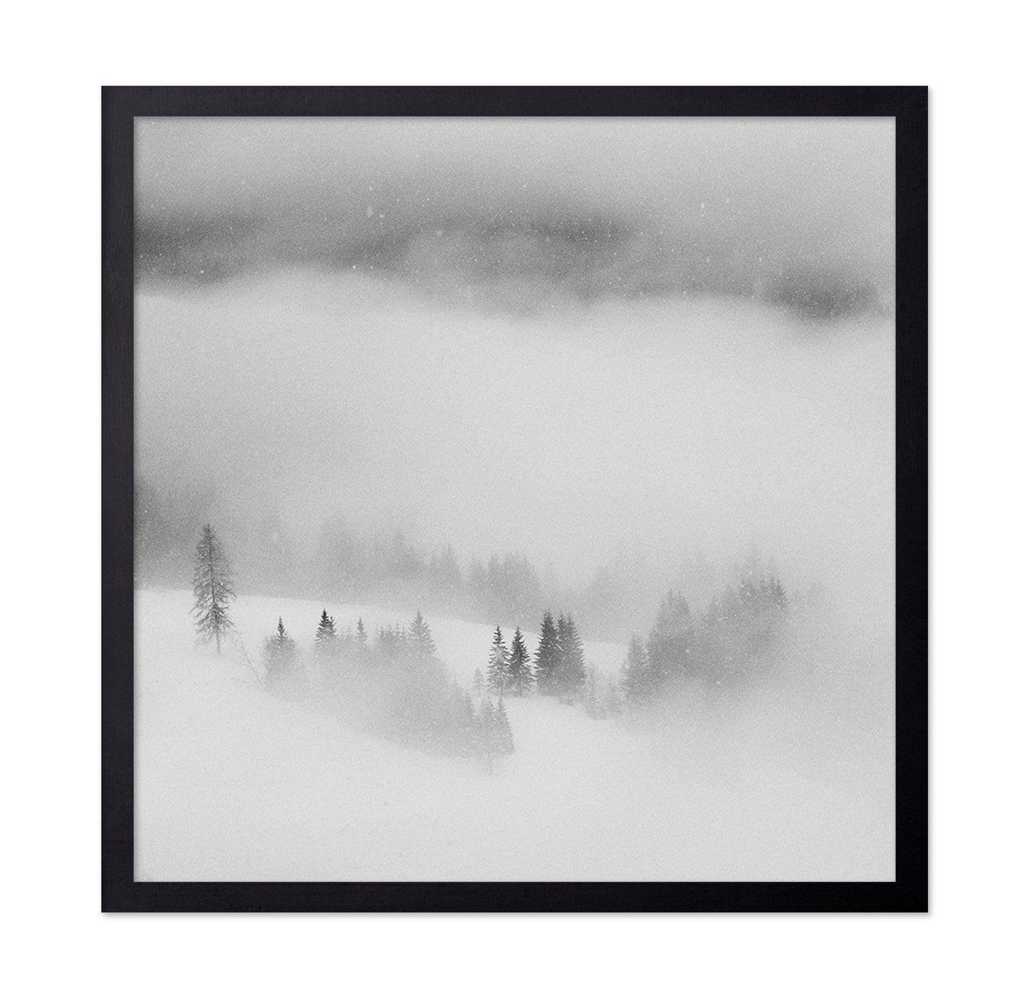 Snowfall Stillness