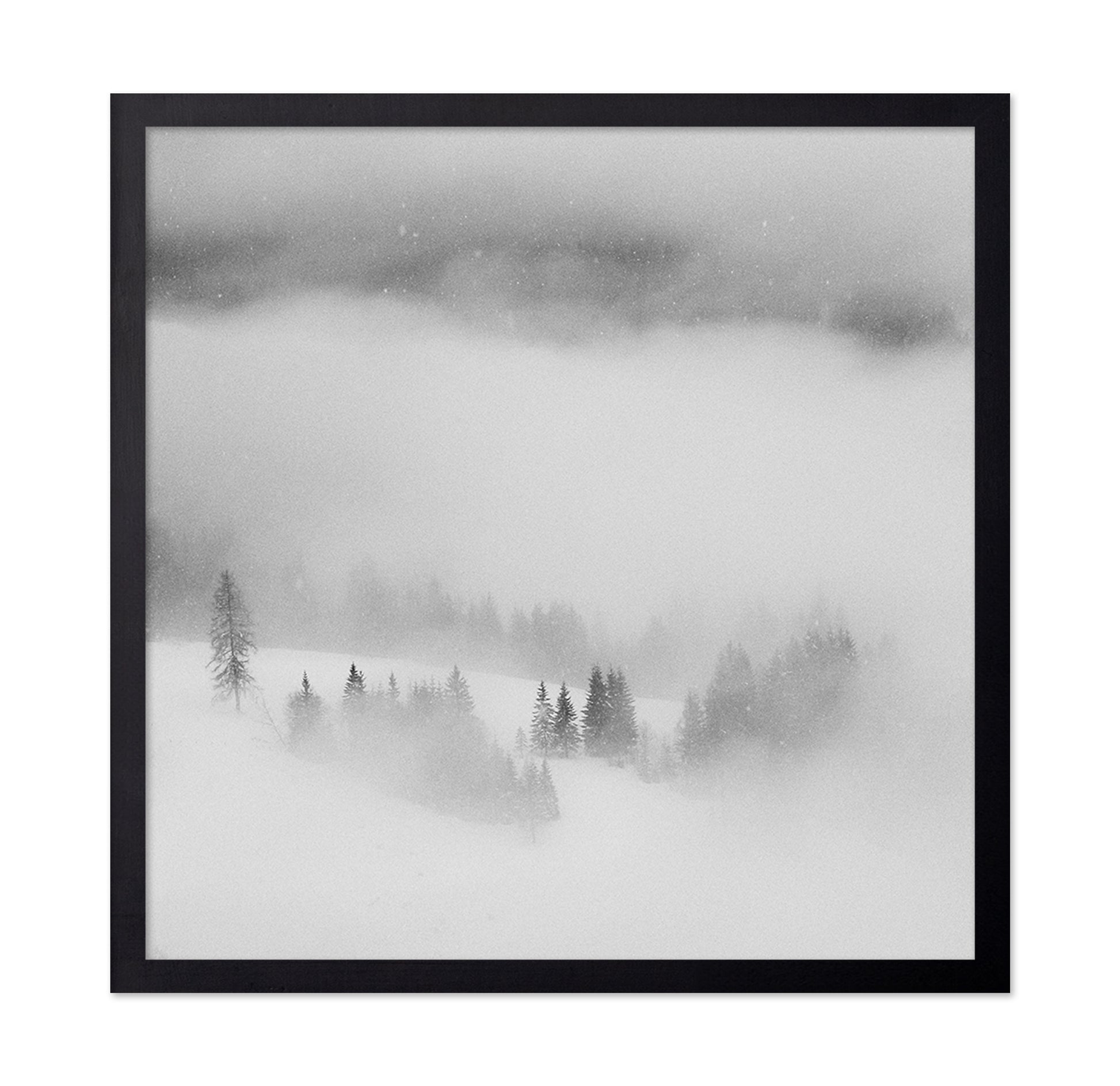 Snowfall Stillness