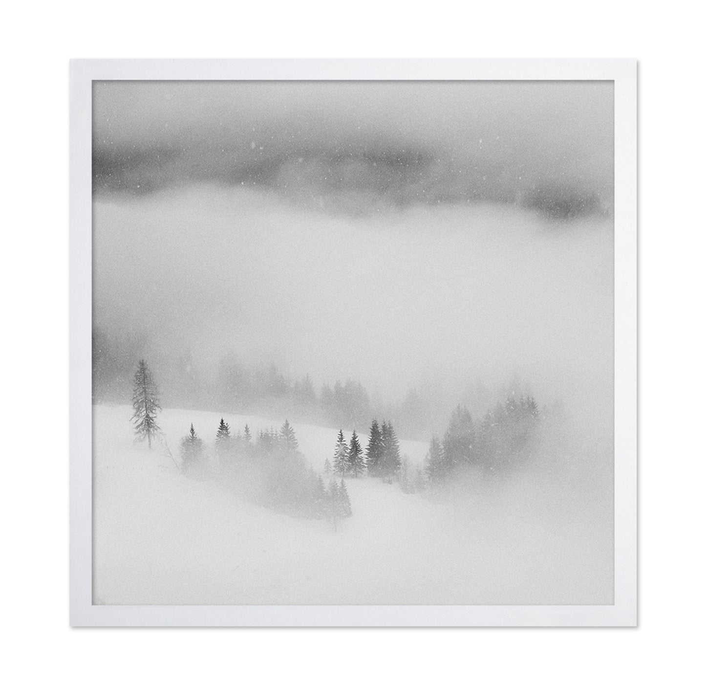 Snowfall Stillness