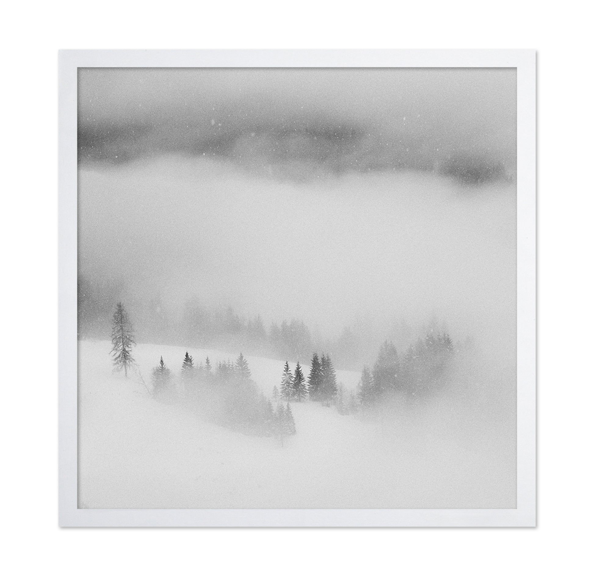 Snowfall Stillness