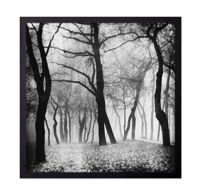 Whispering Woods