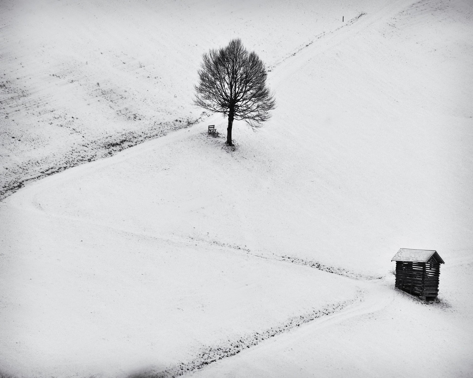 Winter Solitude