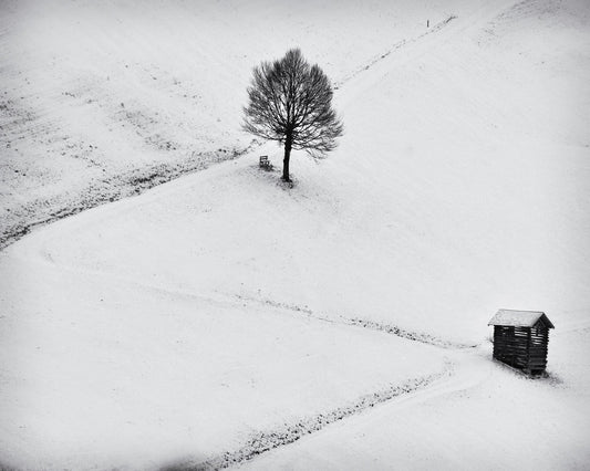 Winter Solitude