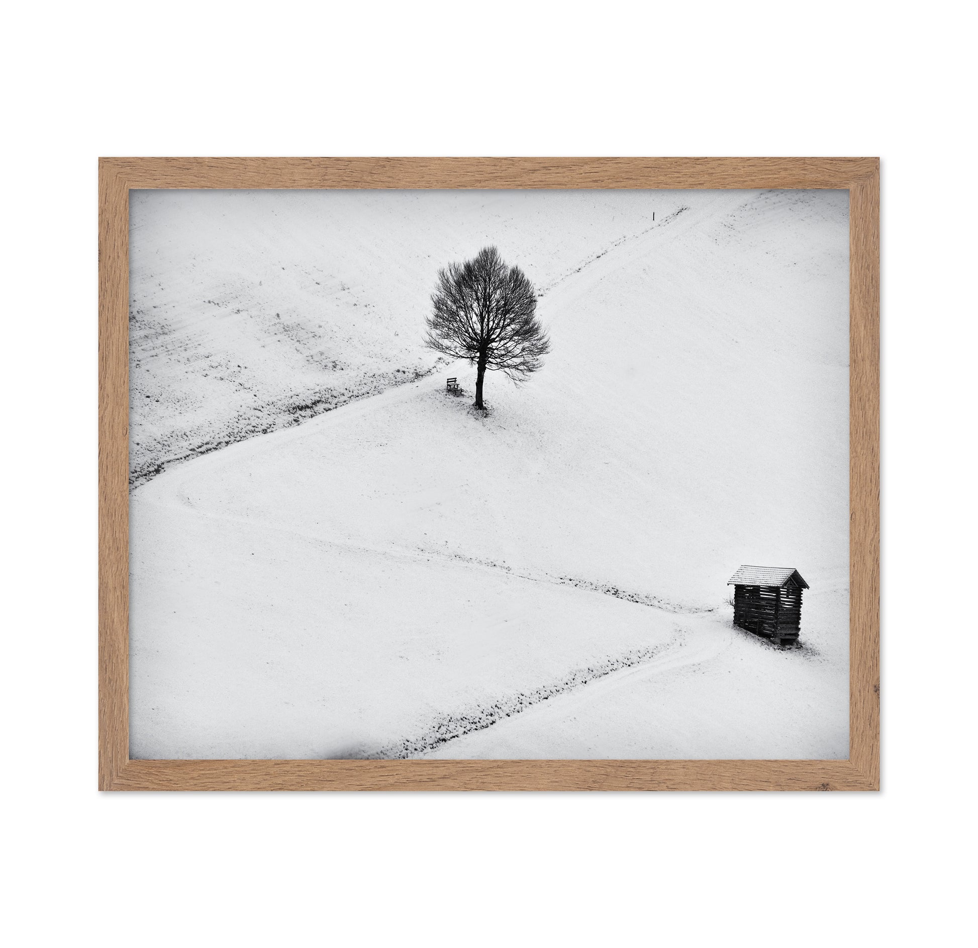 Winter Solitude