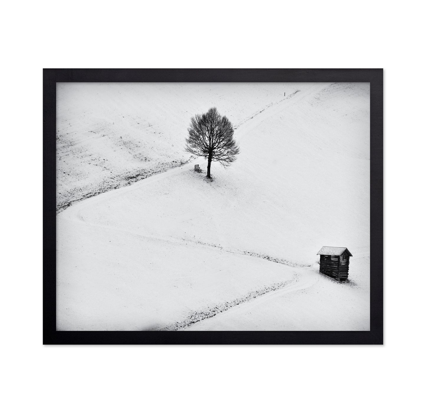 Winter Solitude