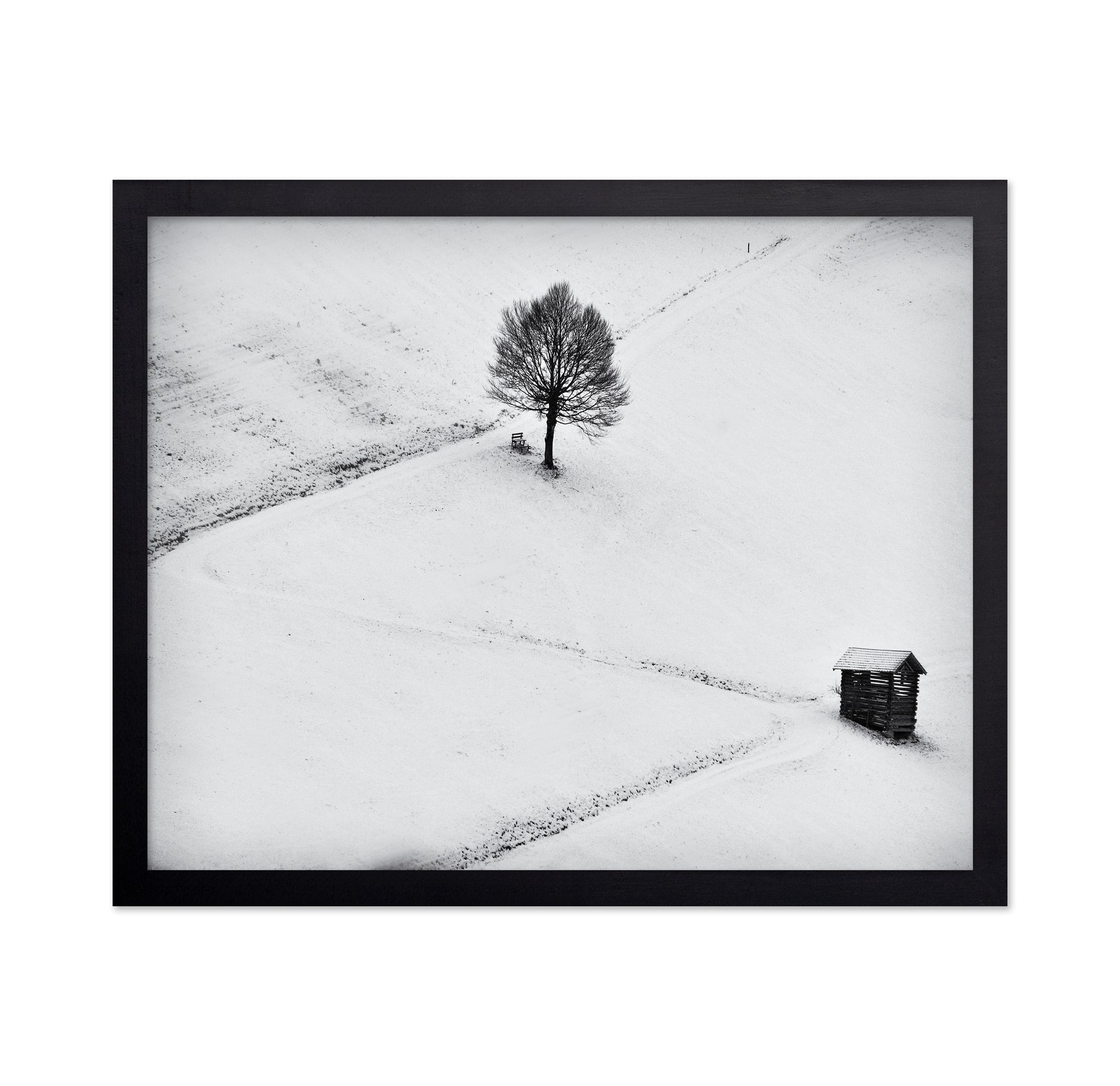 Winter Solitude