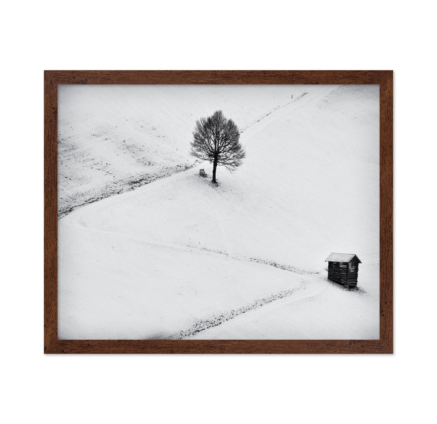 Winter Solitude