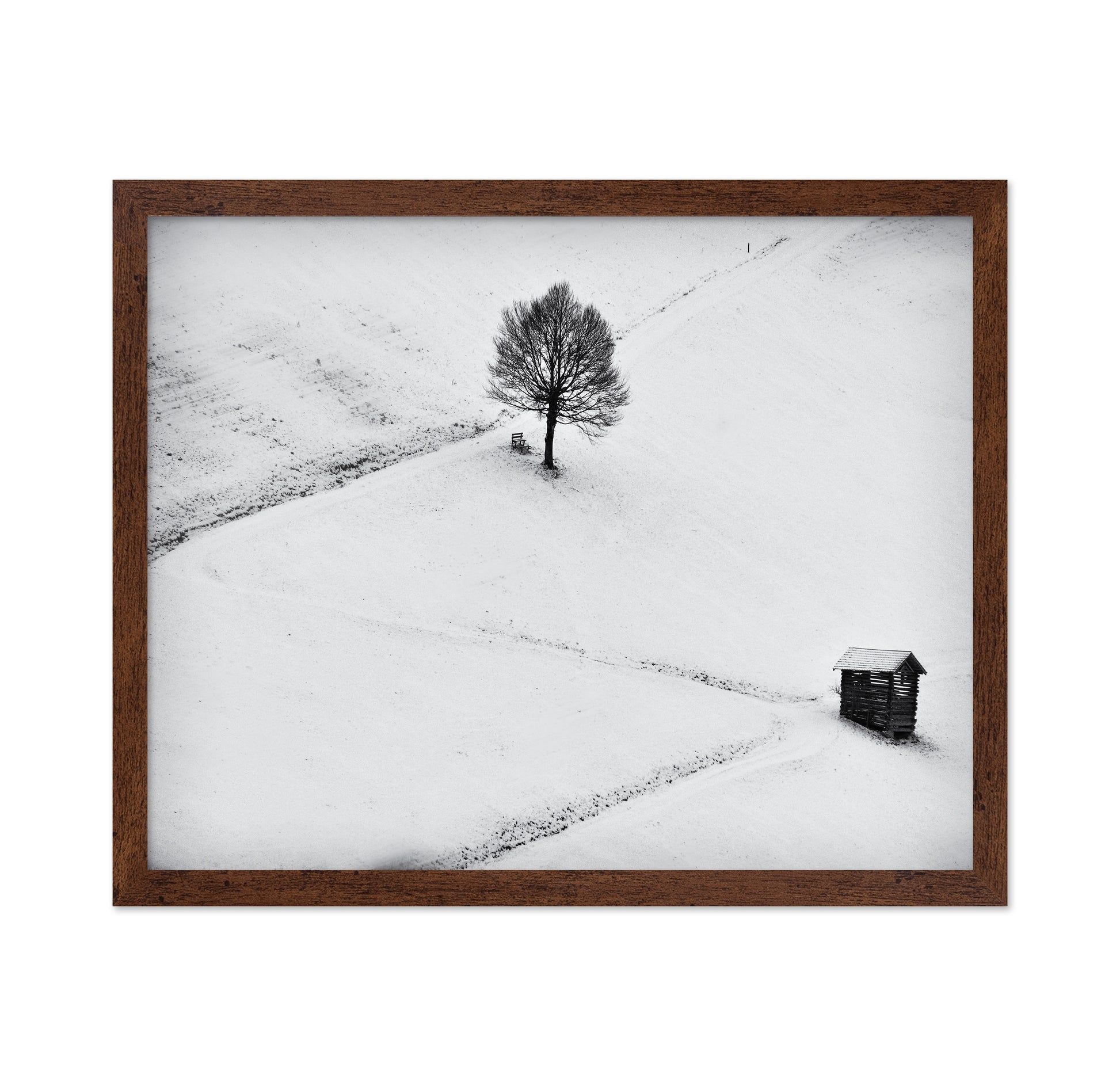 Winter Solitude