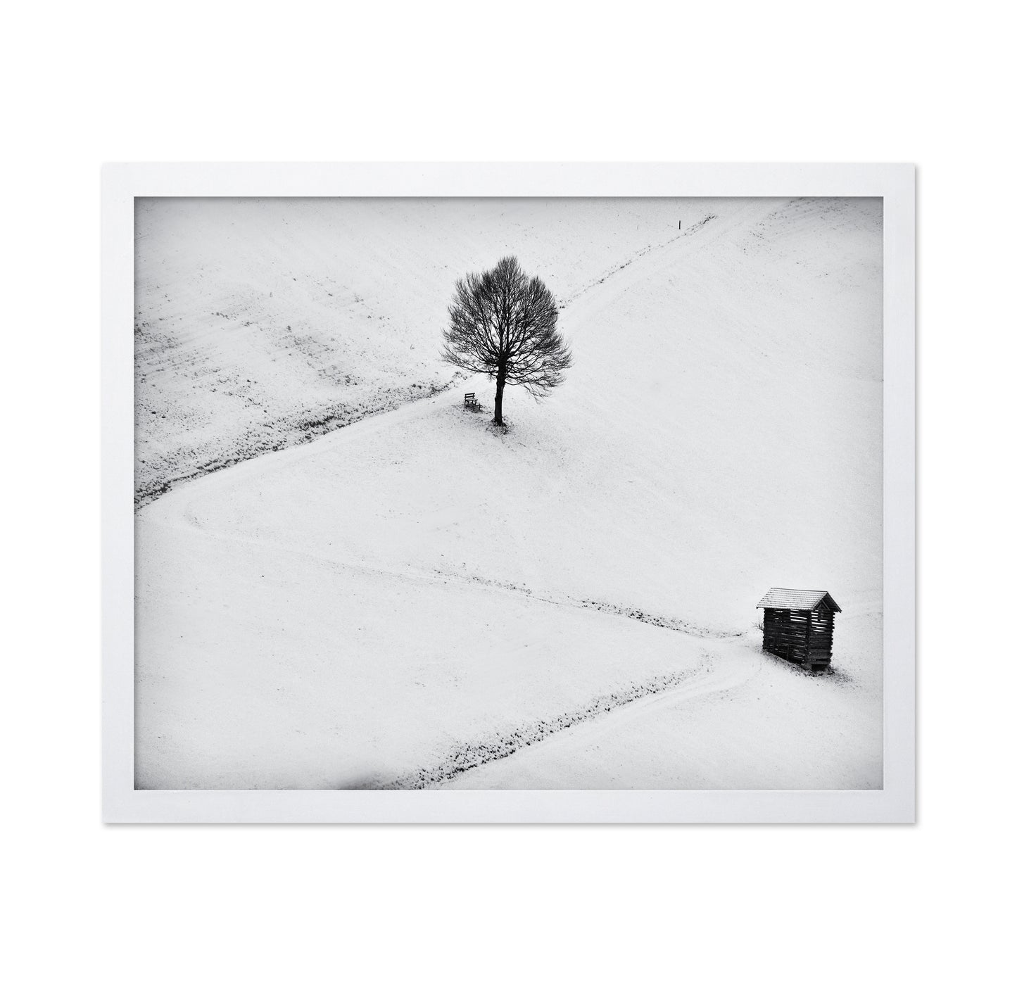 Winter Solitude