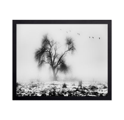 Lone Winter Tree No2