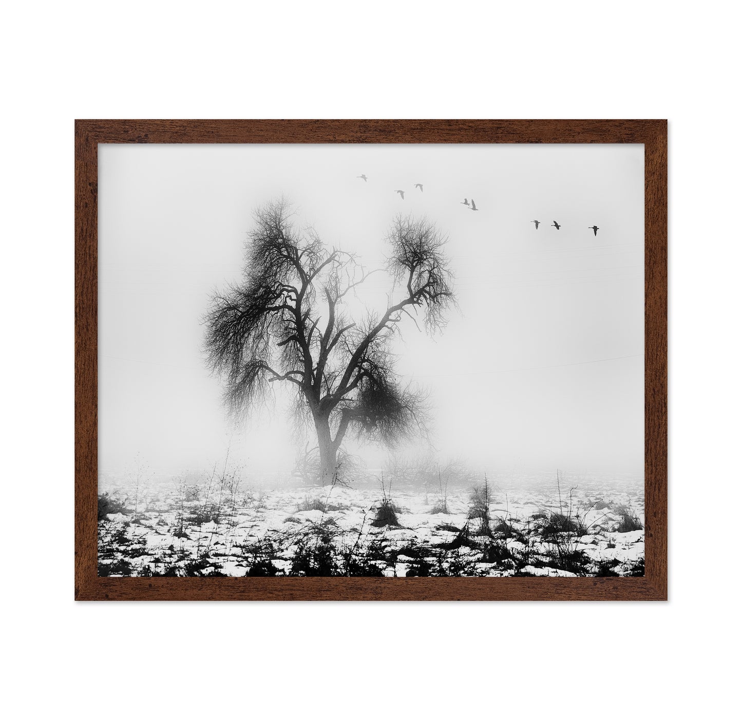 Lone Winter Tree No2