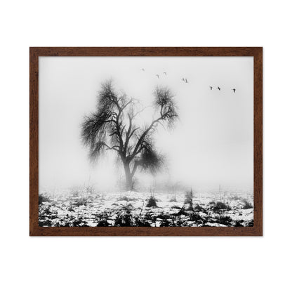 Lone Winter Tree No2