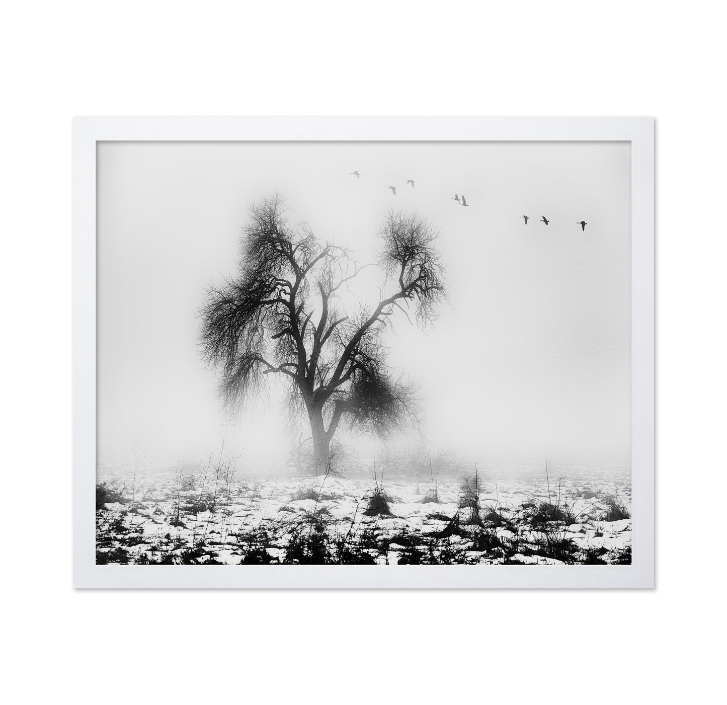 Lone Winter Tree No2