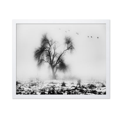 Lone Winter Tree No2