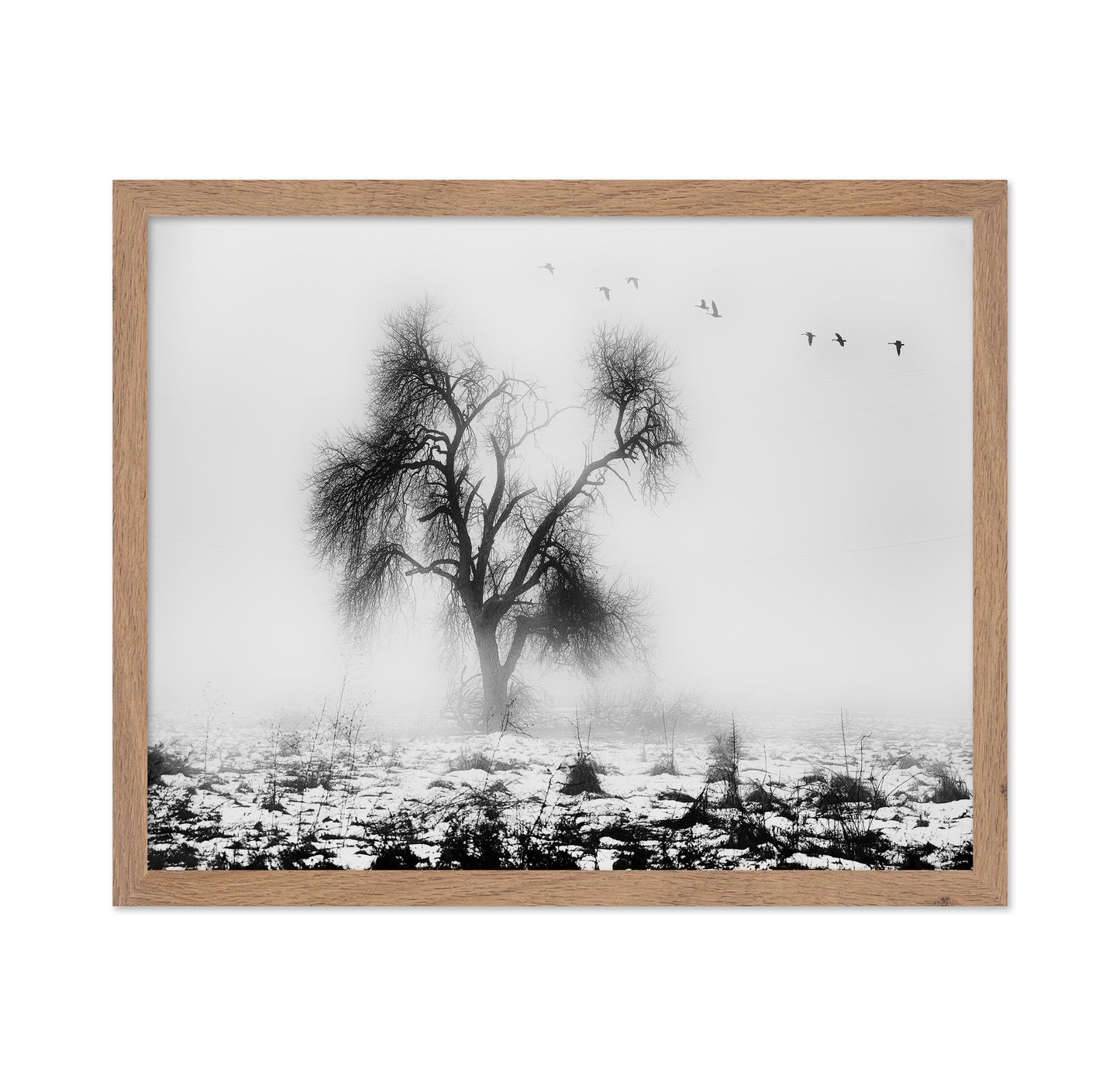 Lone Winter Tree No2