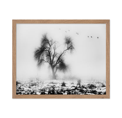 Lone Winter Tree No2
