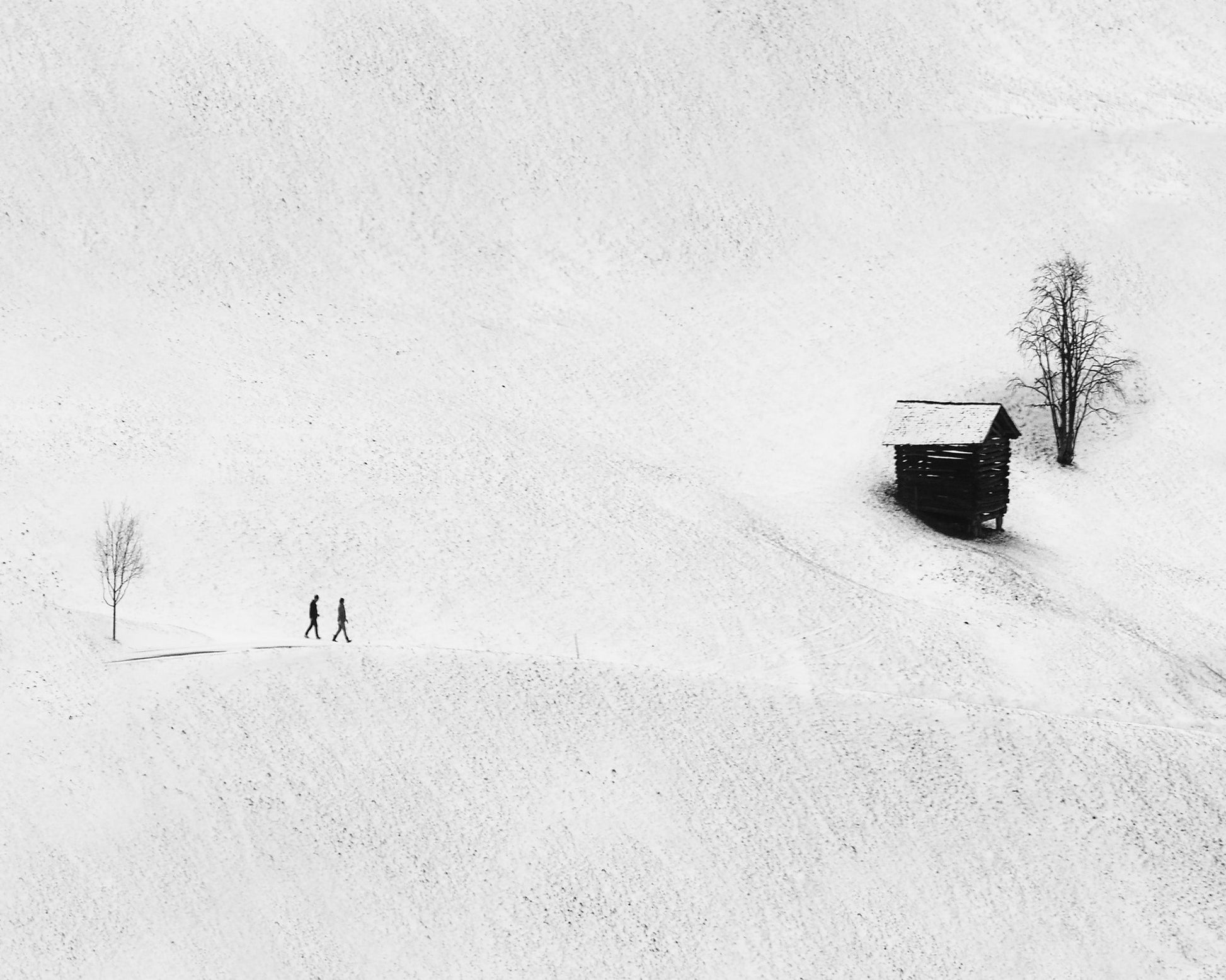 Winter Walk No1