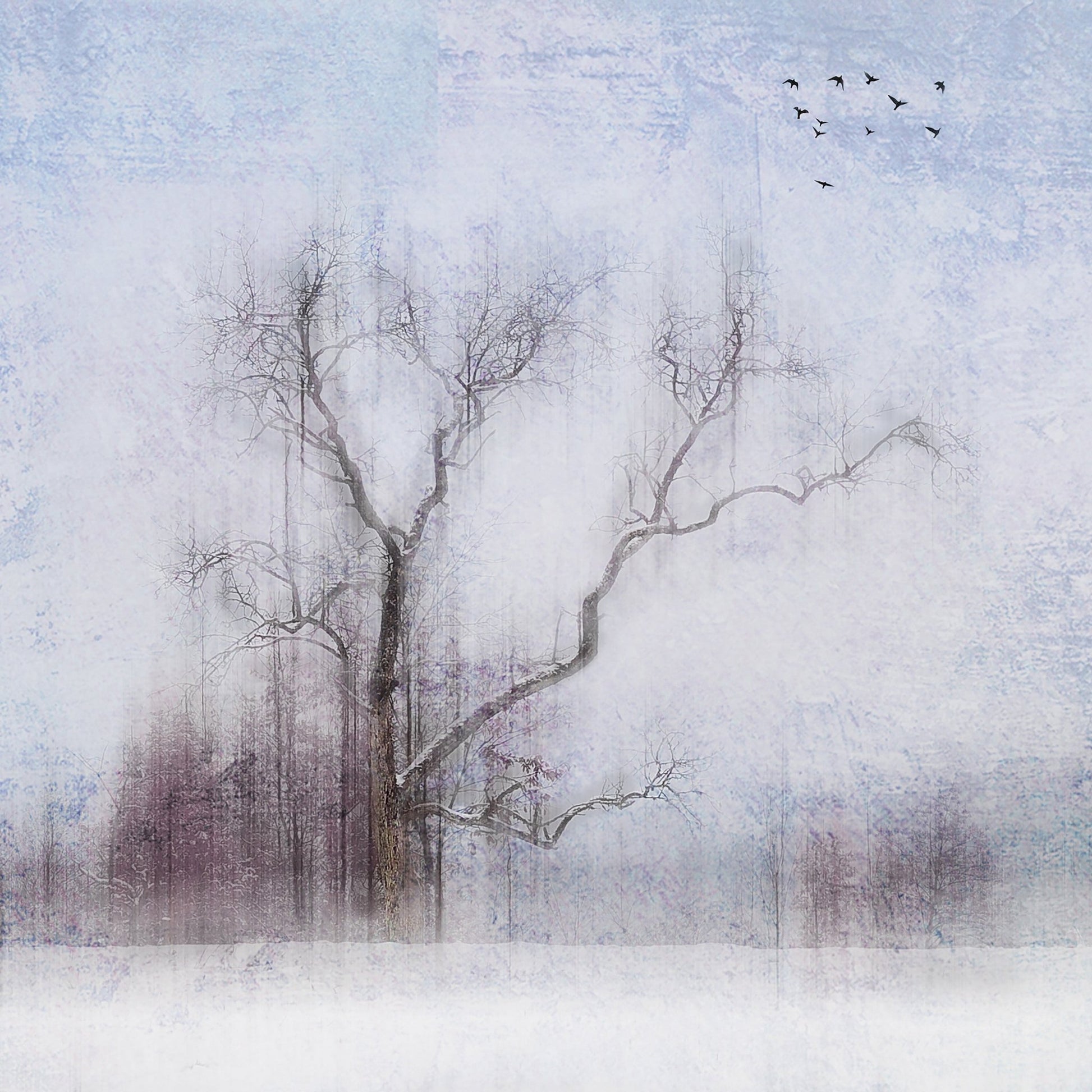 Faded Winter Tree