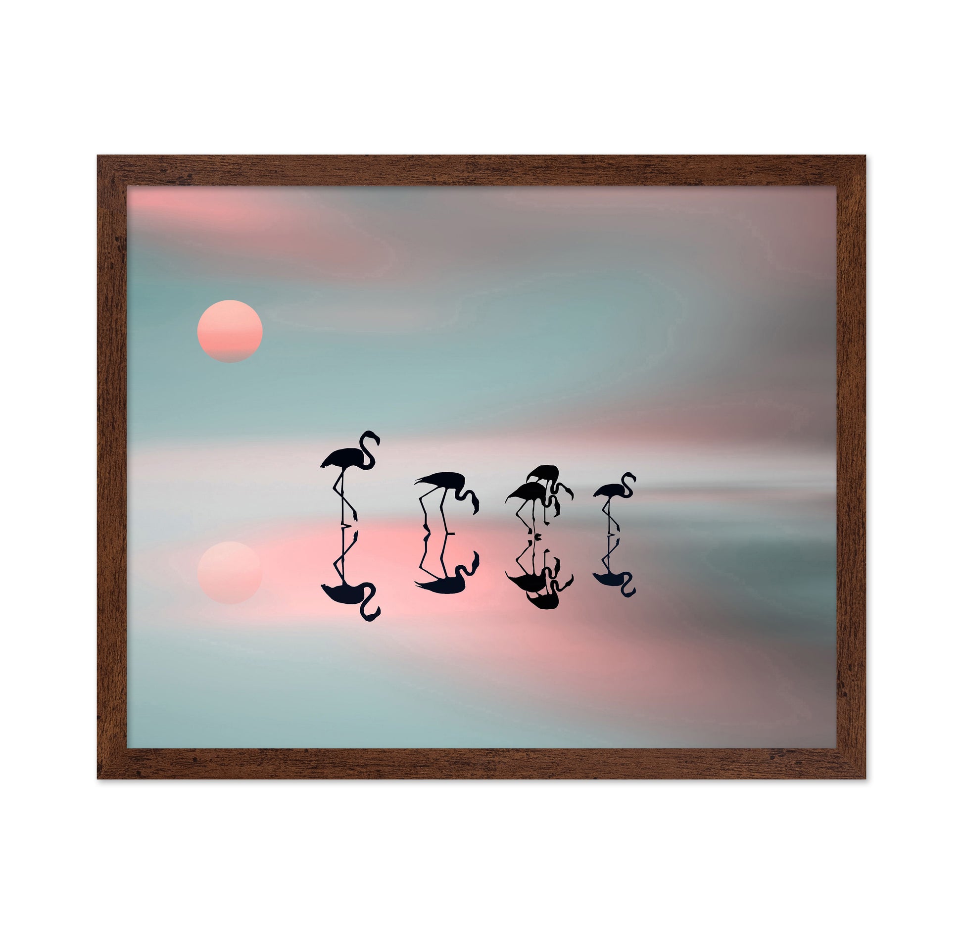 Flamingo Reflections