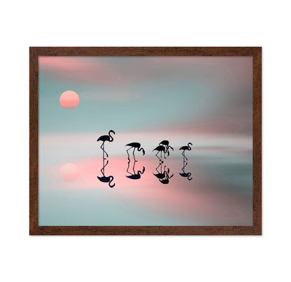 Flamingo Reflections