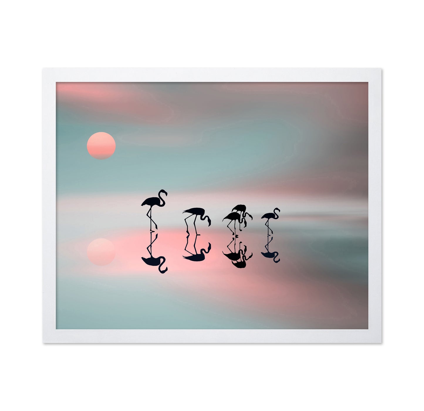 Flamingo Reflections