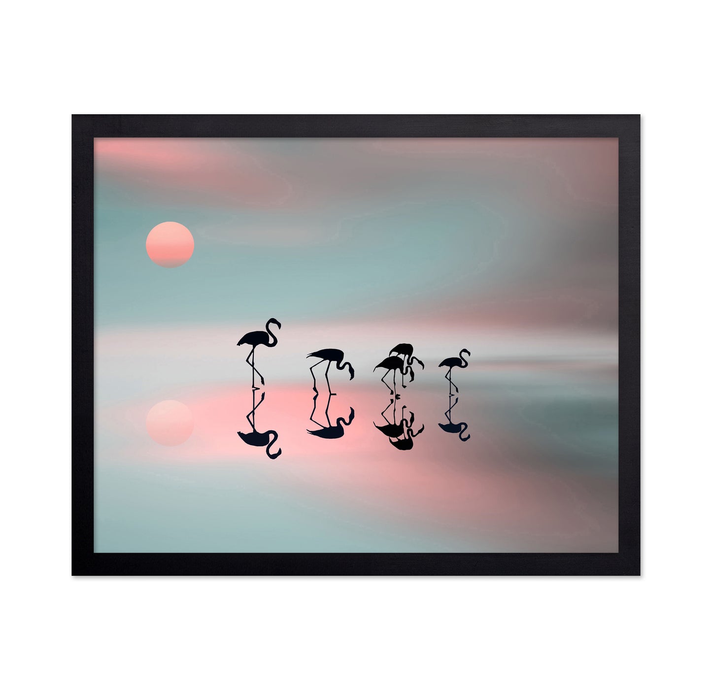 Flamingo Reflections