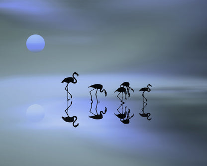 Blue Flamingo Reflections