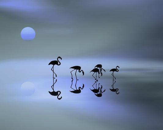 Blue Flamingo Reflections