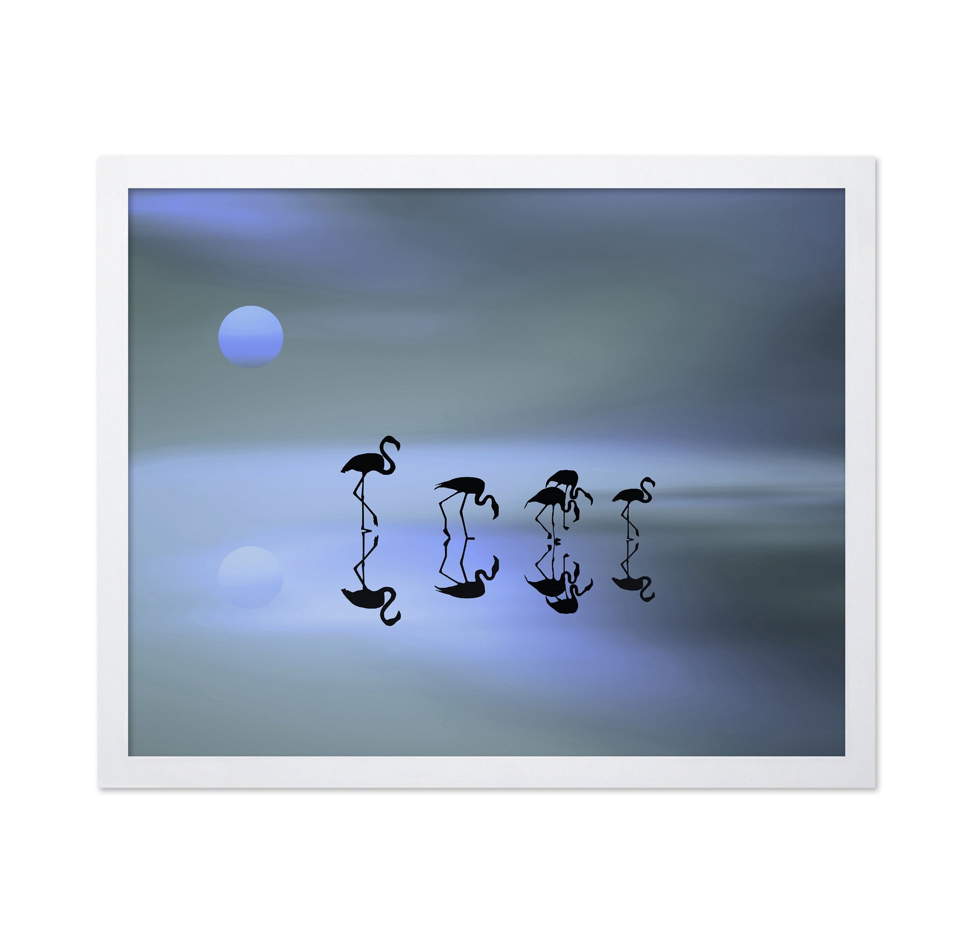 Blue Flamingo Reflections